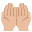 :palms_up_together_medium-light_skin_tone: 🤲🏼
